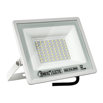 Прожектор світлодіодний ASLAN-50 50W 6400К, Horoz Electric, 068-010-0050-040