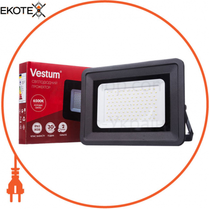 Прожектор LED Vestum 100W 8800Лм 6500K 185-265V IP65