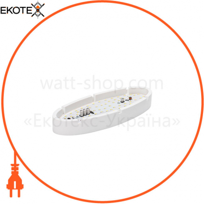Світильник ERKA 1165LED, настінний, 12 W, 6000K, овальний, прозорий, IP 65, ERKA, 116508