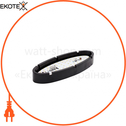 Світильник ERKA 1165LED-Black, настінний, 12 W, 4200K, овальний, прозорий, IP 65, ERKA, 116515