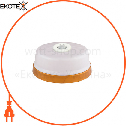 Світильник ERKA 1102D LED-GB, настінно-стельовий з вбудованим і регульованим датчиком руху, 12 W, 4200K, білий, IP 20, ERKA, 190104
