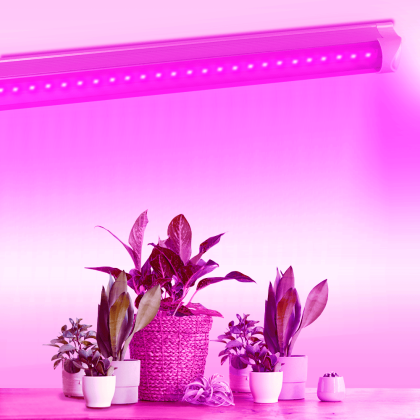 LED FITO світильник лінійний VIDEX T8 0,6М 10W, Videx, 27001
