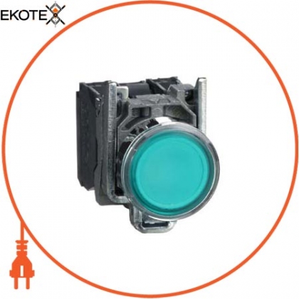Кнопка 22 мм 110-120В з поверненням з підсвічуванням, Schneider, XB4BW33G5