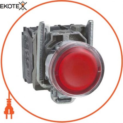 Кнопка 22 мм 110-120В з поверненням з підсвічуванням, Schneider, XB4BW34G5