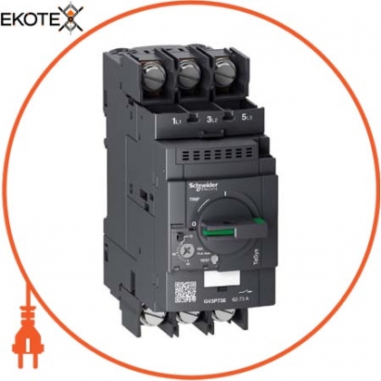 Автоматичний вимикач двигуна, TeSys GV3, 3P, 62-73 A, thermal magnetic, lugs terminals, Schneider, GV3P736