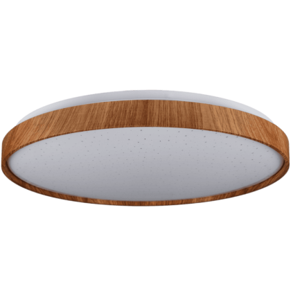 FOREST зоряне небо 80W 480*65мм 3000К-6500К з ДК тік, Vestum, VS-91064