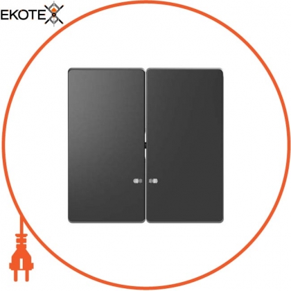 MERTEN D-Life КЛАВІША 2-ва з лінзою для LED модуля, АНТРАЦИТ, Schneider, MTN3420-6034