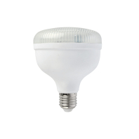 Світлодіодна лампа CRYSTAL-30 30W E27 6400K, Horoz Electric, 001-016-1030-010