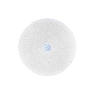 Світлодіодний світильник потолочний RADIUS-36, Horoz Electric, 027-012-0036-010