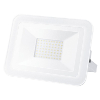 Прожектор MAXUS FL-02 50W, 5000K