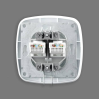 Розетка подвійна комп’ютерна біла ELA, Horoz Electric, 112-007-0017-010