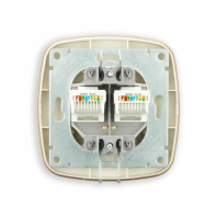 Розетка подвійна комп’ютерна золото ELA, Horoz Electric, 112-007-0017-030