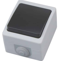 Выключатель накладной проходной 1-ЦЛВ. 10А 250V IP54 серый