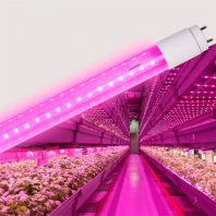 LED FITO лампа VIDEX T8F  9W 0.6M, Videx, 26999