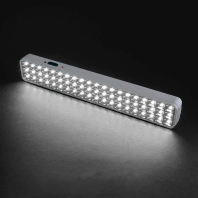 LED світильник аварійний TITANUM 60 LED 6500K, Titanum, 27385