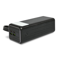Повербанк 40000mAh TITANUM SP04P PD65W Black, Titanum, 28287