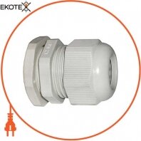 Кабельний затискач PG-36 для коробок TAREL, Enext, 1111-036