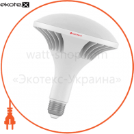 Pine 50W PA LF - 50 Е27 5000