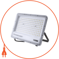 Прожектор ENERLIGHT ACCENT 100Вт 6500K, Enerlight, ACCENT100SMD120C
