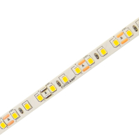 LED Стрічка SMD 120 діодів/м, 5м, 12V, 12W/M, 4500K EUROLAMP