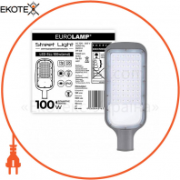 Світлодіодний EUROLAMP LED Світильник вуличний плоский 100W 5500K