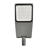 Светильник уличный консольный MAXUS ASSISTANCE STREET PRO 200W 4000K IP66 Gray DIM NEMA7 TIME