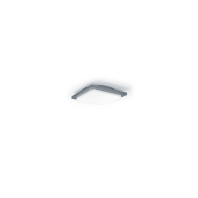 LED світильник вуличний Wall/Ceiling Lamp 20W 4000K S DG