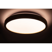 WOOD матовий 60W 375*60мм 3000К-6500К з ДК акація, Vestum, VS-91047