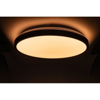 RING матовий 80W 480*60мм 3000К-6500К з ДК чорний, Vestum, VS-91056