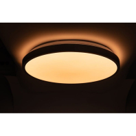 RING матовий 80W 480*60мм 3000К-6500К з ДК срібний, Vestum, VS-91058