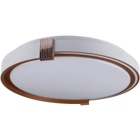 COLISEUM матовий 60W 395*60мм 3000К-6500К з ДК біле золото