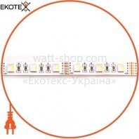 Світлодіодна стрічка Venom SMD 5050 60 д. м. RGBW (IP33) 12V, Venom, VST-5050120600-RGBW