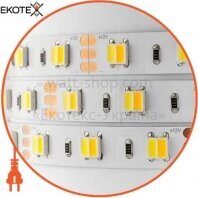 Світлодіодна стрічка Mi-Light SMD5050 Dual White LED Strip негерметична (IP20) Premium, Mi-Light, MI-LED-DW60CCT1220