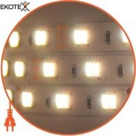 Світлодіодна стрічка Mi-Light SMD5050 Dual White LED Strip негерметична (IP20) Premium, Mi-Light, MI-LED-DW60CCT1220