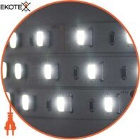 Світлодіодна стрічка Mi-Light SMD5050 Dual White LED Strip негерметична (IP20) Premium, Mi-Light, MI-LED-DW60CCT1220