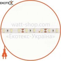 Світлодіодна стрічка Venom SMD 5630 60д.м. (IP65 ) Standart, Venom, VST-5630120601-W