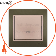Кнопка дверного автомата 701-3130-104 Колір Прохідна 10АХ 250V~