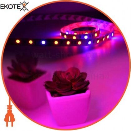 Світлодіодна фитолента Venom SMD 5050 60д.м. негерметична, Venom, 5050FLS